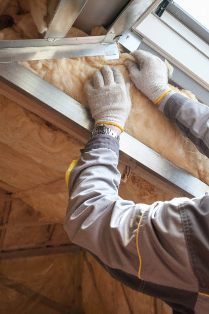 Best Insulation Contractors for Homes  in Columbus, TX