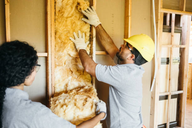 Best Insulation Replacement Services  in Columbus, TX