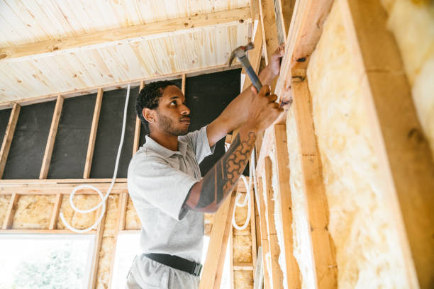 Best Best Insulation Companies  in Columbus, TX