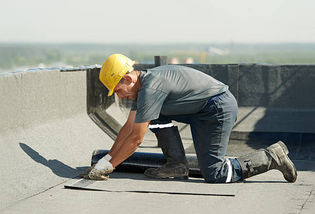 Best Insulation Installation Cost  in Columbus, TX