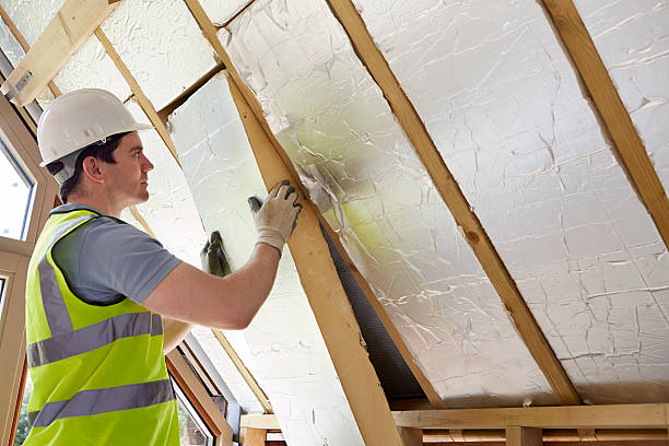 Best Wall Insulation Contractor  in Columbus, TX