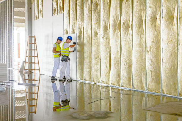 Best Affordable Insulation Services  in Columbus, TX